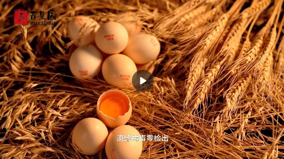 &#22823;&#36130;&#31070;&#97;&#112;&#112;&#40;&#20013;&#22269;&#41;&#20225;&#19994;&#30334;&#31185;